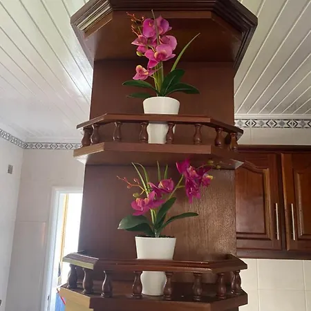 Hollywood * Campanário