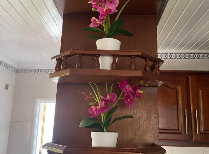 Hollywood * Campanário